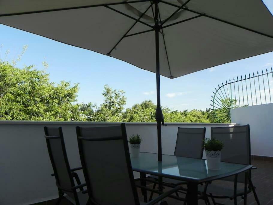 Atico Con Terraza En Alameda De Hercules Sevilla Kültér fotó