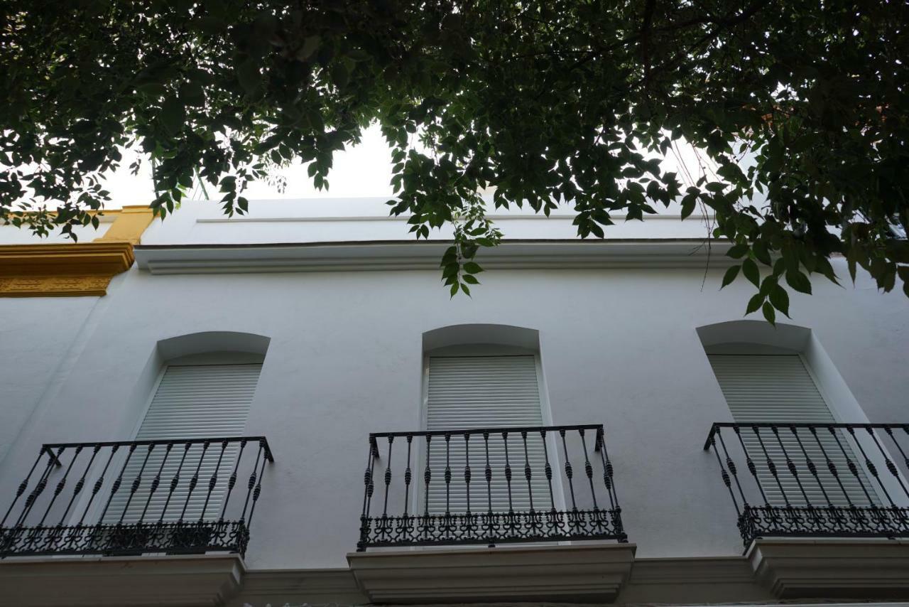 Atico Con Terraza En Alameda De Hercules Sevilla Kültér fotó
